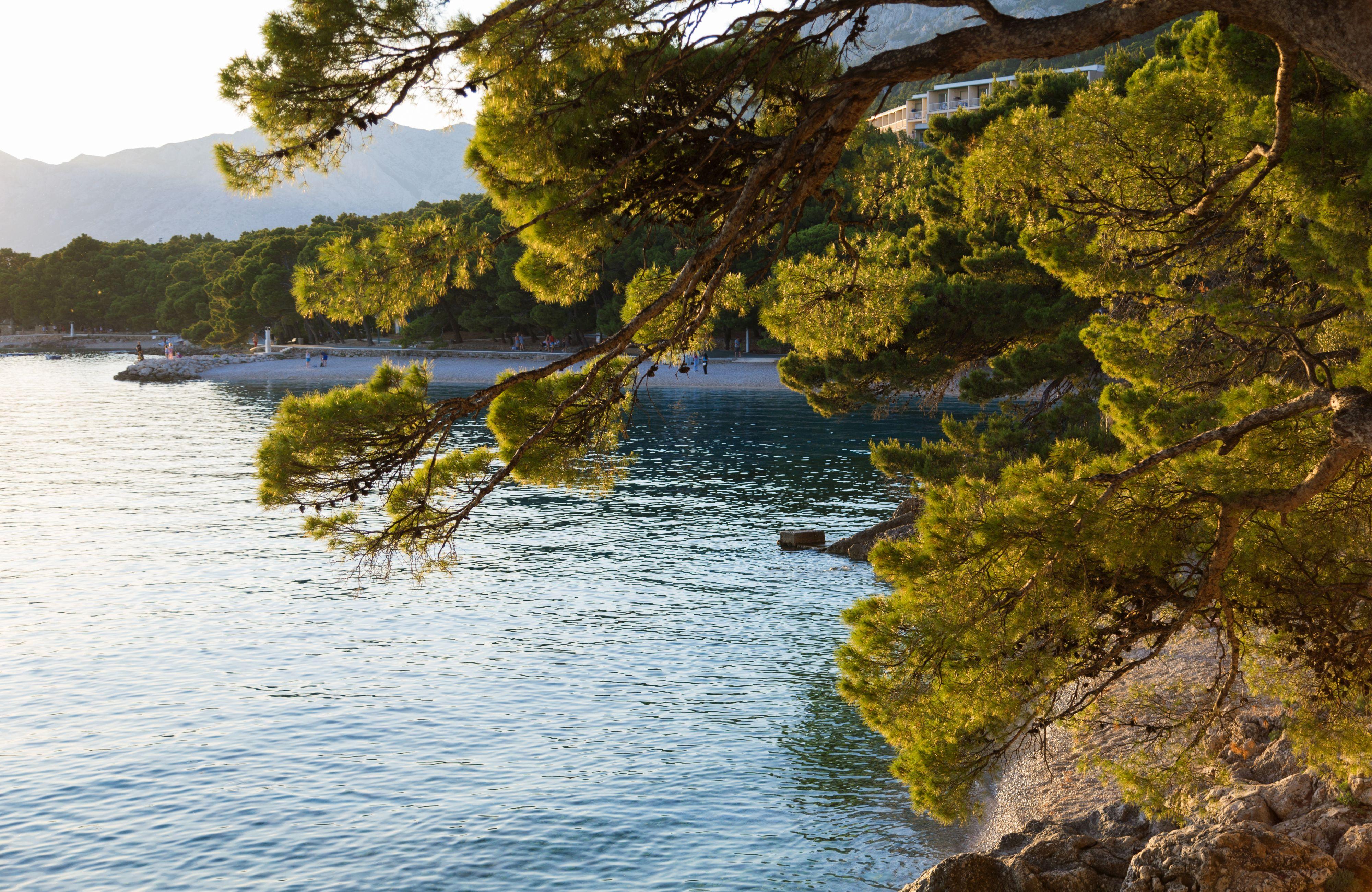 Bluesun Hotel Soline Brela Εξωτερικό φωτογραφία